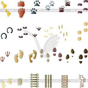 Footprint, trail, paw, Animal paw, collection - vector image