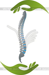 Spine, hands, orthopedics, physiotherapy, massage, logo - vector image