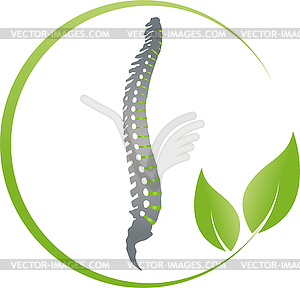 Spine, Leaves, Naturopath, Chiropractor, Logo - vector clipart