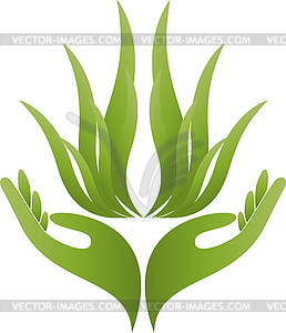 Two hands and leaves, plant, naturopath, logo - vector clipart