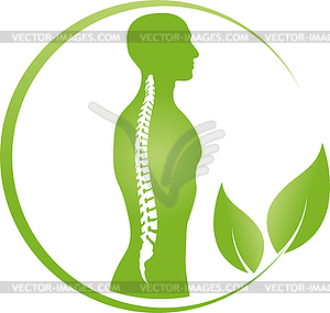 chiropractic spine clipart