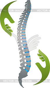 Hands and spine, orthopedics, massage, logo - vector image