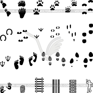 Imprint, trace, paw, paw, collection - vector clipart / vector image