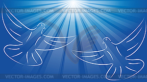 Two doves, birds in flight, pigeon, background - vector image