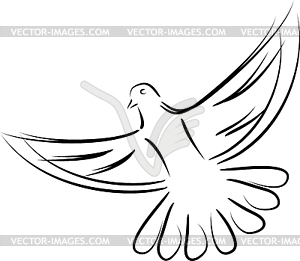 Bird, pigeon, pigeon in flight - vector image