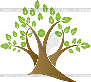 tree seedling clipart