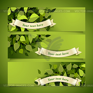 Leaf headers set - vector image