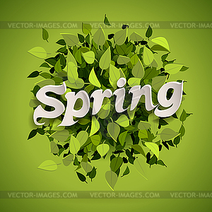 Spring bomb - vector image