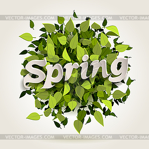 Spring bomb - vector EPS clipart