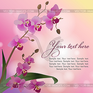 Orchid - royalty-free vector image