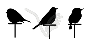 Vector images silhouettes of 3 birds set isolated - vector image