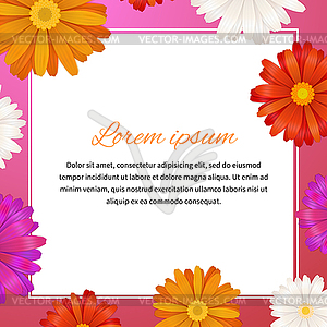 Beauty template with gerbera flowers and text space - vector image