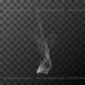 Realistic transparent white smoke object - vector EPS clipart