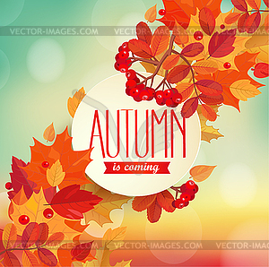 Autumn is coming - background - vector image