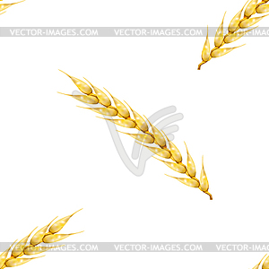 Seamless background with wheat spikelets,  - vector clipart