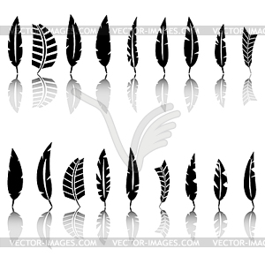 Набор перьев птицы, - векторизованное изображение