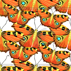 Seamless pattern with butterfly peacock - vector clipart