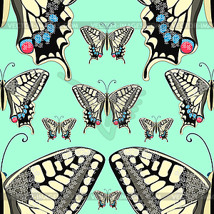 Seamless pattern machaon butterfly Europe. illus - vector image