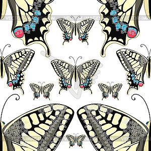 Seamless pattern machaon butterfly Europe. illus - vector image