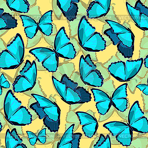 Seamless pattern butterfly blue morpho monarch - vector clipart