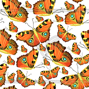 Seamless pattern with butterfly peacock - vector image