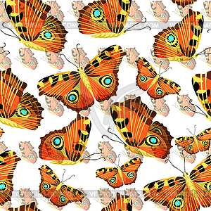 Seamless pattern with butterfly peacock - vector clip art