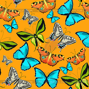 Seamless pattern Ornithoptera paradisea, butterfly - vector image