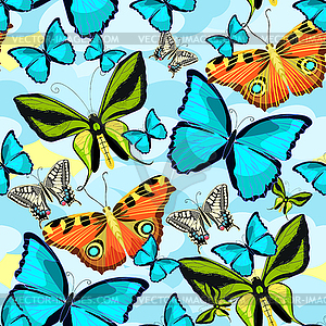 Seamless pattern Ornithoptera paradisea, butterfly - vector clipart