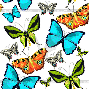 Seamless pattern Ornithoptera paradisea, butterfly - vector clip art
