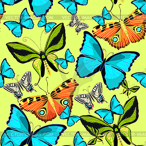 Seamless pattern Ornithoptera paradisea, butterfly - vector image