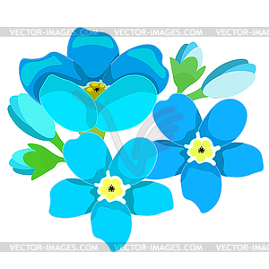 Card of forget-me-alpine wild flower - vector clipart / vector image