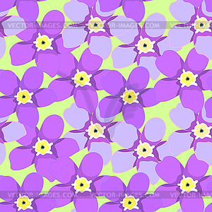 Seamless pattern of forget-me-alpine wild flower - vector clipart