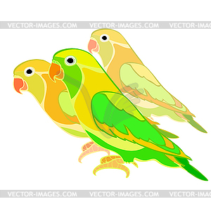 Lovebirds parrot with red beak - vector image