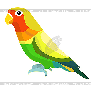 Неразлучники попугай с красным клювом - рисунок в векторном формате