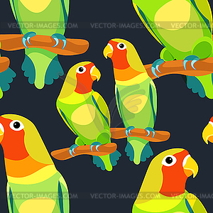 Lovebirds parrot with red head - vector clipart