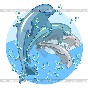 Fun dolphin is smiling - vector image