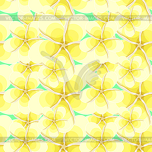 Seamless pattern Hawaiian plumeria flower an - vector clipart / vector image