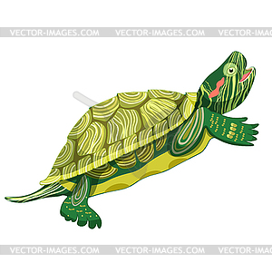 Pond slider turtle green smiling - vector clipart