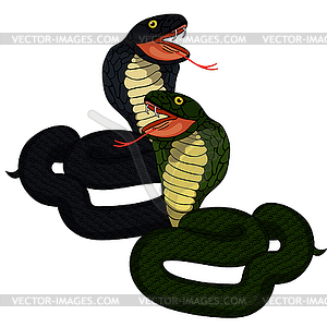 Green king cobra with fangs - color vector clipart