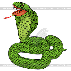 Green king cobra with fangs - vector image