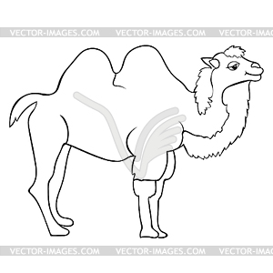 Camel coloring smiling cartoon - royalty-free vector clipart