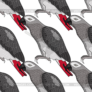 Seamless pattern Jaco parrot red-with shadows Africa - vector clipart