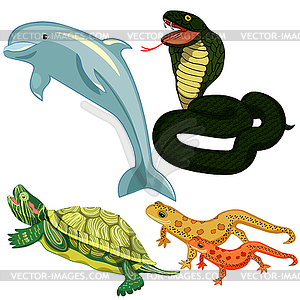 Dolphin cobra snake turtle set. s - vector clipart