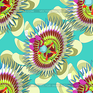 Seamless pattern passion flower Blue tropical - vector clip art