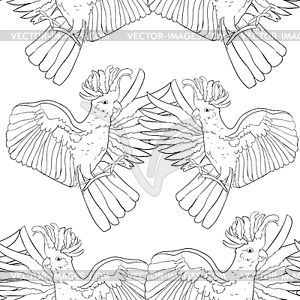 Cockatoo wings flying coloring Seamless pattern - vector image