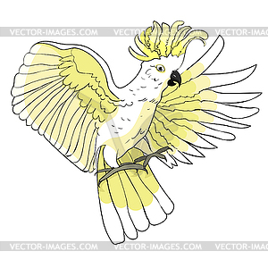 Cockatoo yellow white wings flying - vector clipart