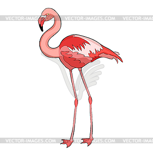 Pink flamingo in full growth smiles - vector clipart