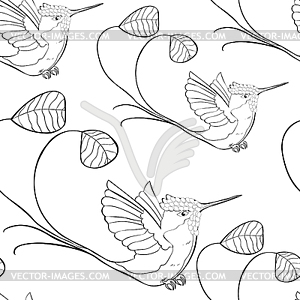 Seamless pattern coloring Hummingbird rocket tail i - vector clipart