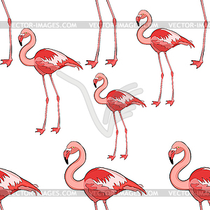 Seamless pattern Pink flamingo in full growth - vector clip art
