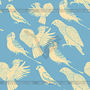 Seamless pattern Jaco, Lovebird, wavy parrot kakadu - vector clipart